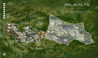 Palo Alto_5